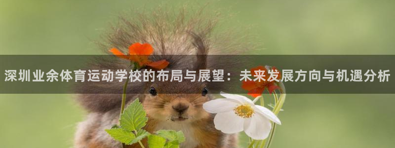 深圳业余体育运动学校的布局与展望：未来发展方向与机遇分析