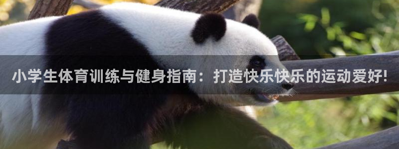小学生体育训练与健身指南：打造快乐快乐的运动爱好!